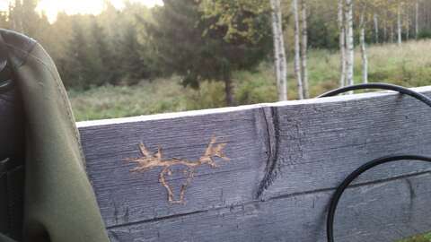 A picture of a bull moose head carved into the inside of the hunting stand